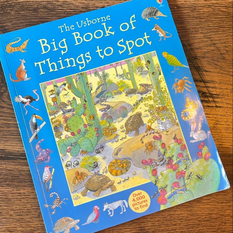 Usborne big book of things to spot