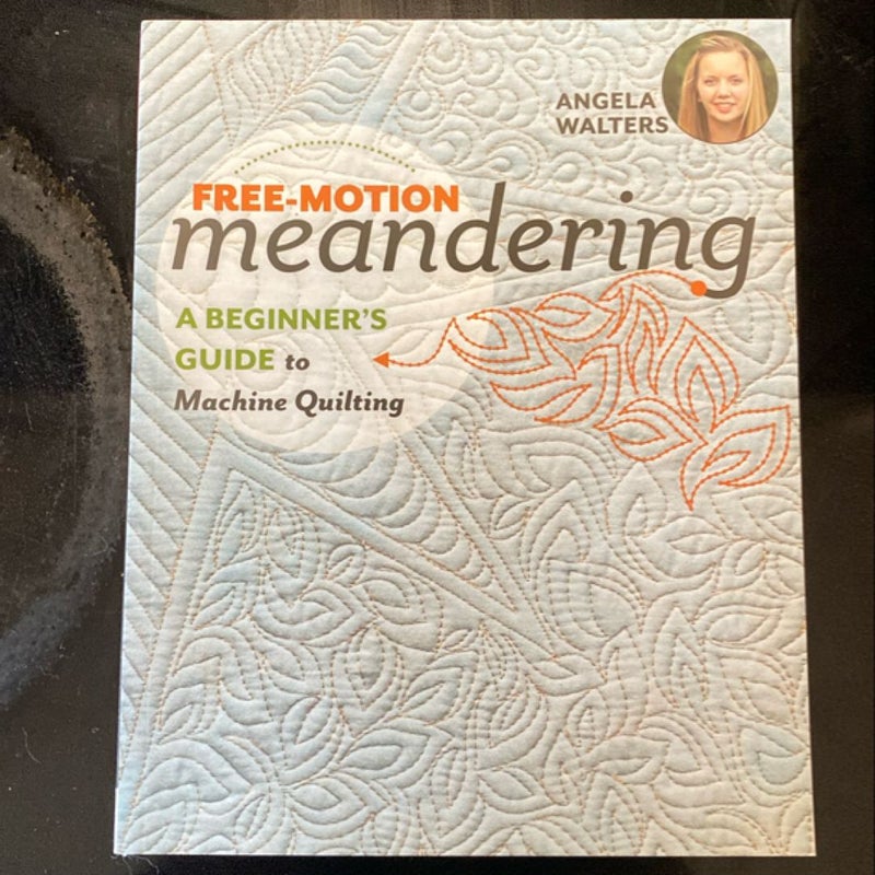 Free-Motion Meandering