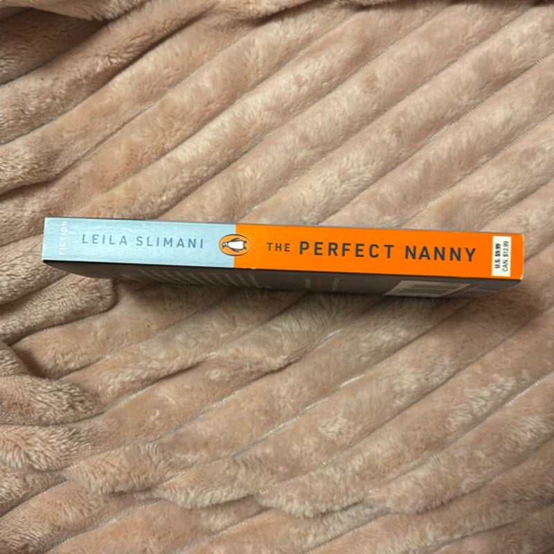 The Perfect Nanny