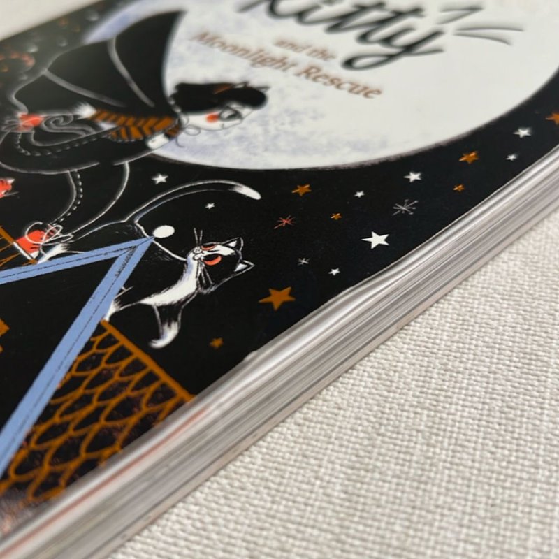 Kitty and the Moonlight Rescue