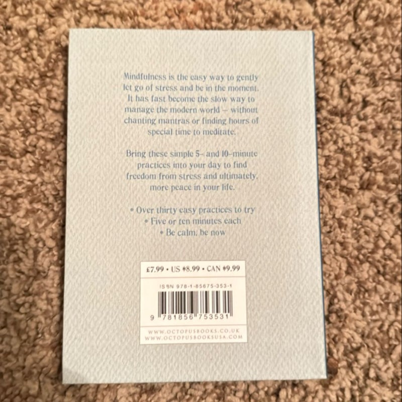 Little Book of Mindfulness