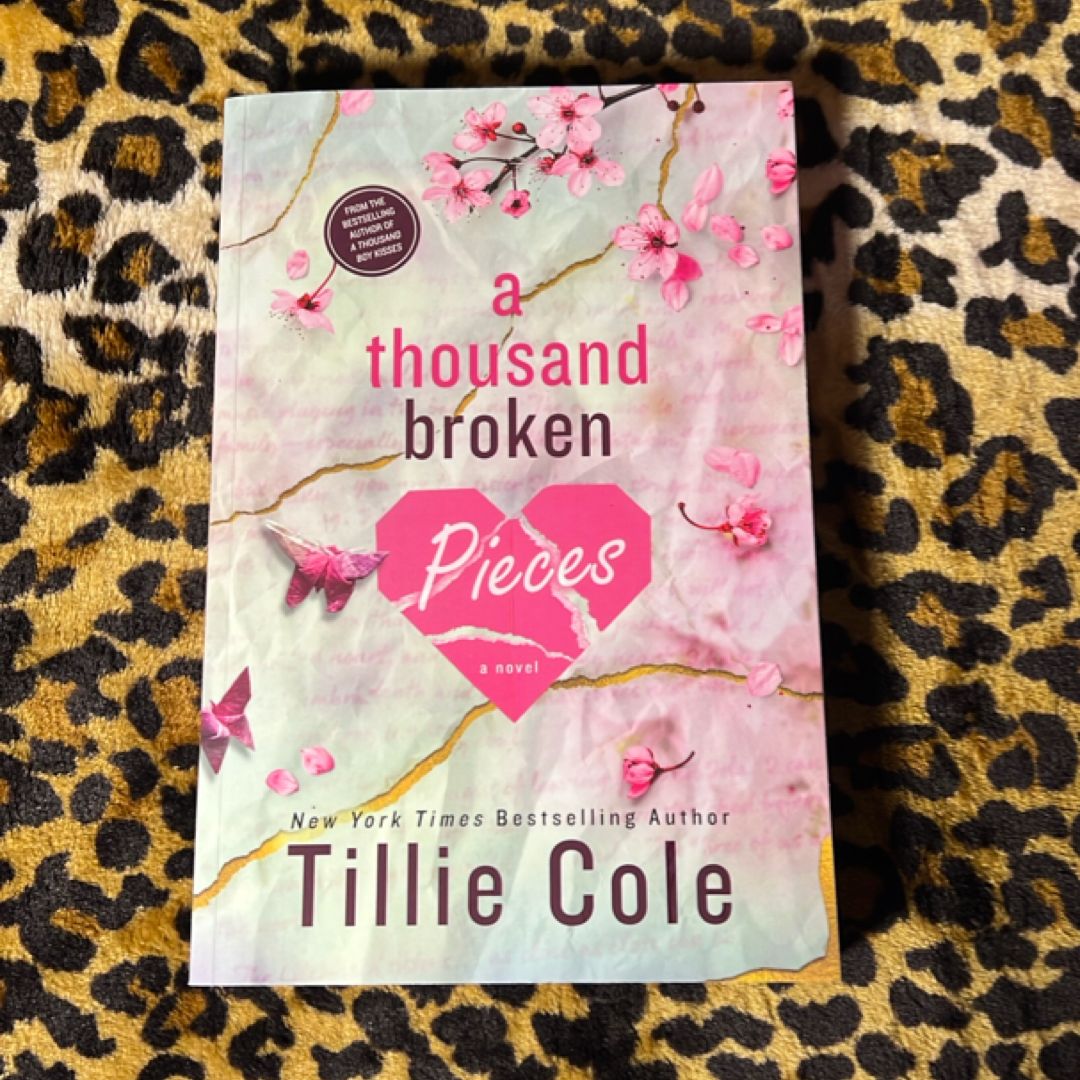 A Thousand Broken Pieces