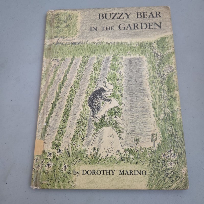 Buzzy Bear in the Garden