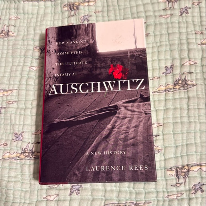 Auschwitz A new History 