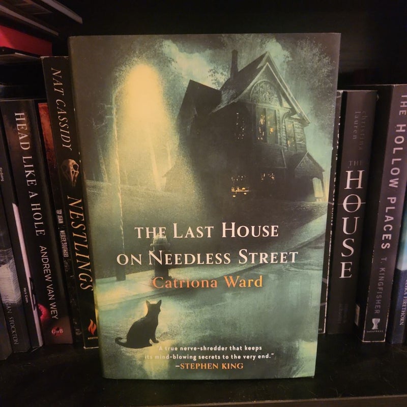 The Last House on Needless Street