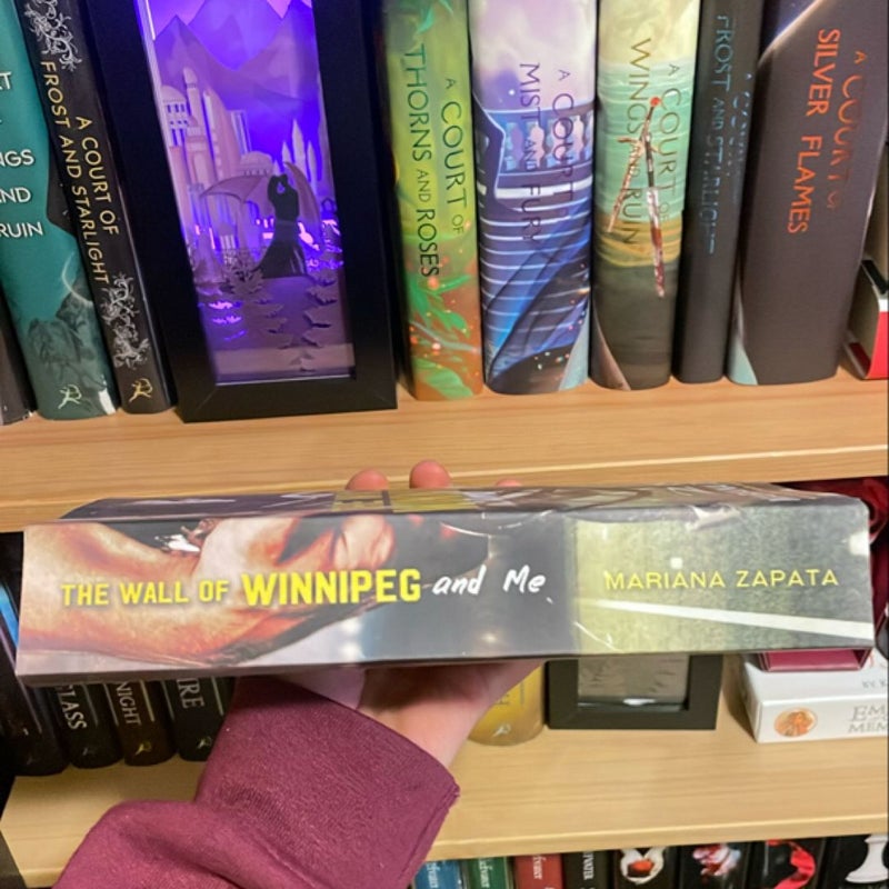 The Wall of Winnipeg and Me