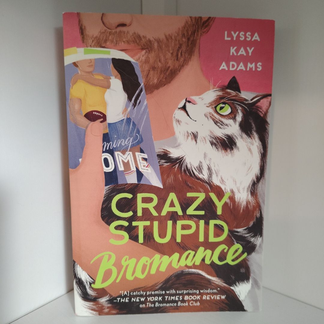 Crazy Stupid Bromance