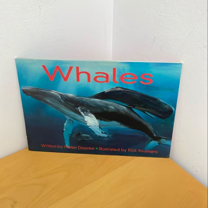 Nonfiction Water Animals Literacy bundle