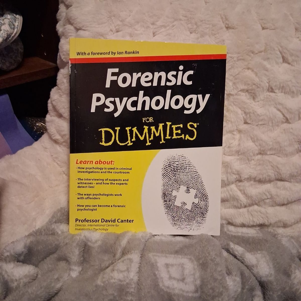 Forensic Psychology For Dummies