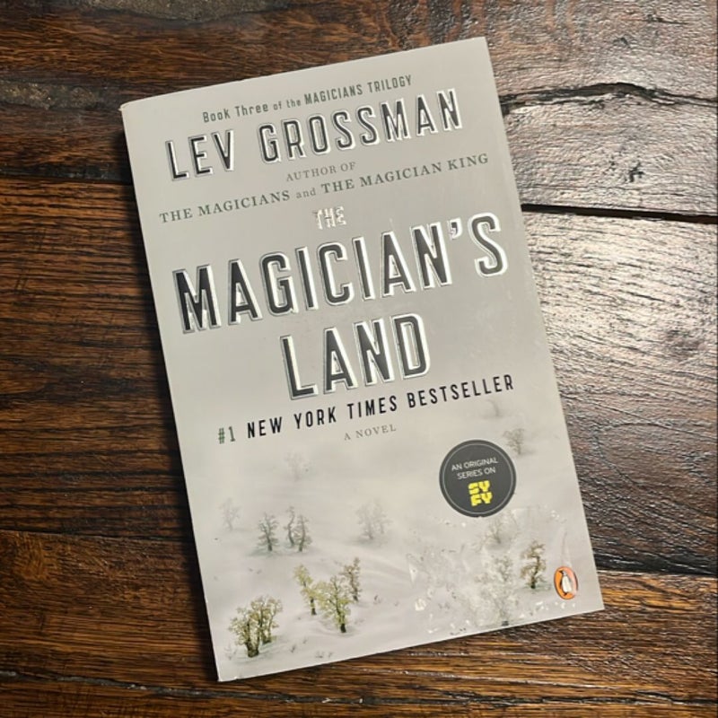 The Magician's Land