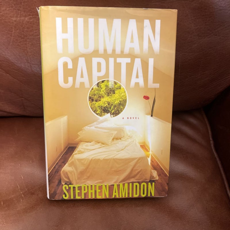 Human Capital: A Novel by Amidon, Stephen