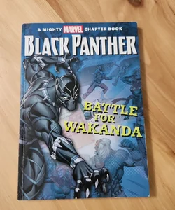 Black Panther: the Battle for Wakanda