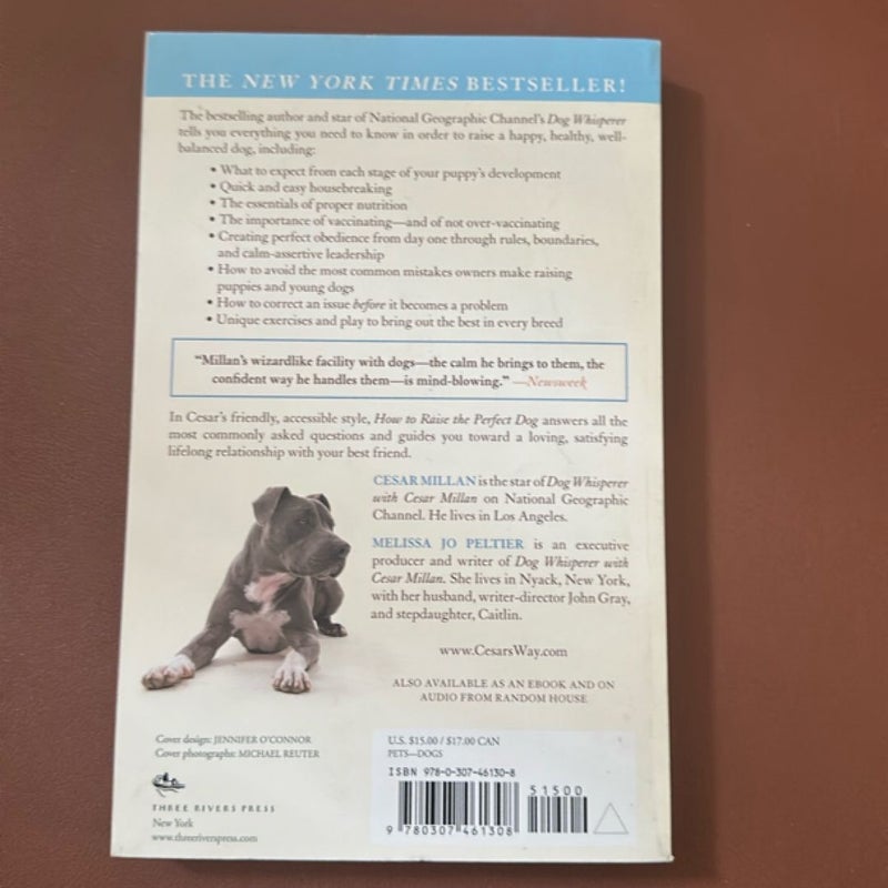 How to Raise the Perfect Dog