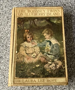 *The Bobbsey Twins on Blueberry Island