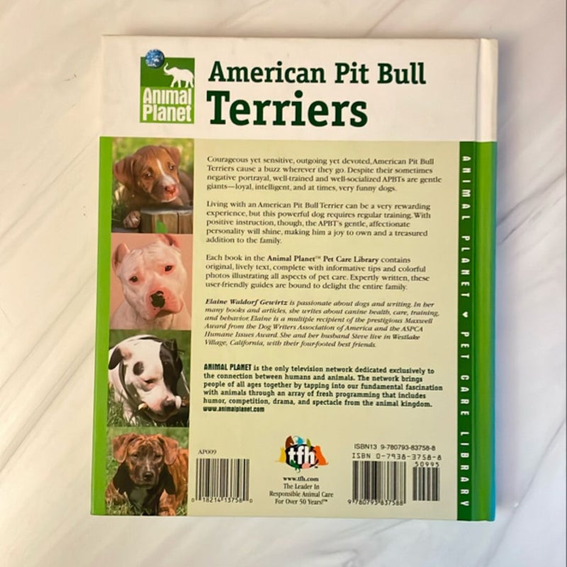 American Pit Bull Terriers