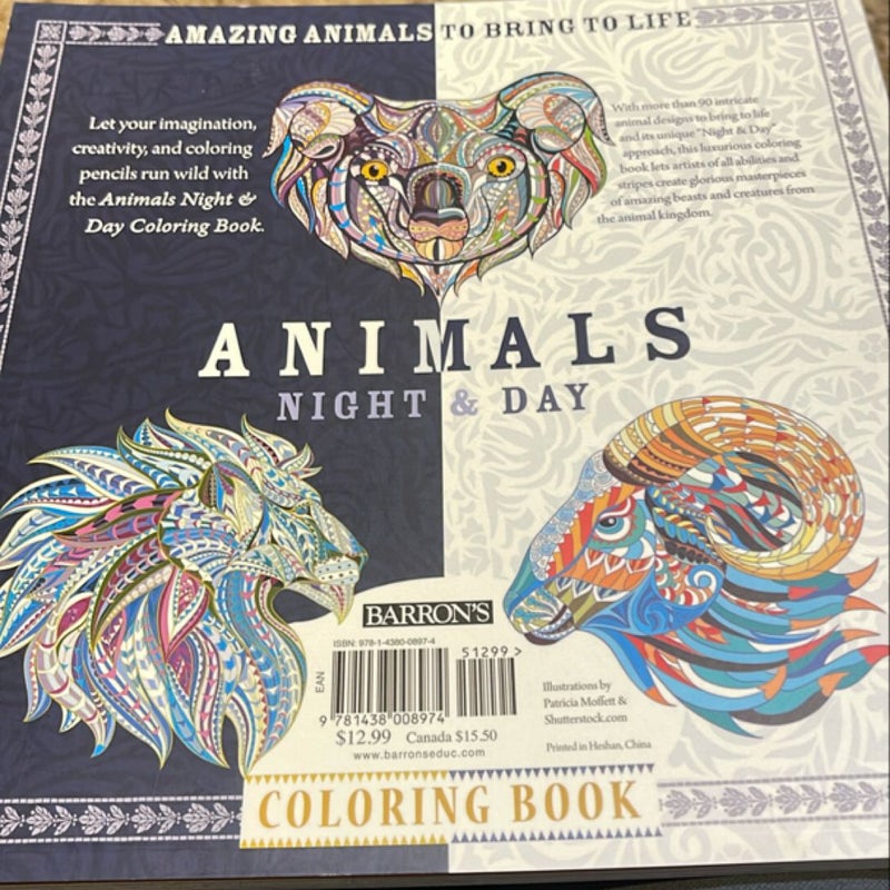 The Night and Day Coloring Book