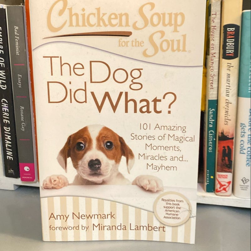 Chicken Soup for the Soul: the Dog Did What?