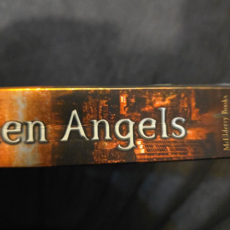 City of Fallen Angels