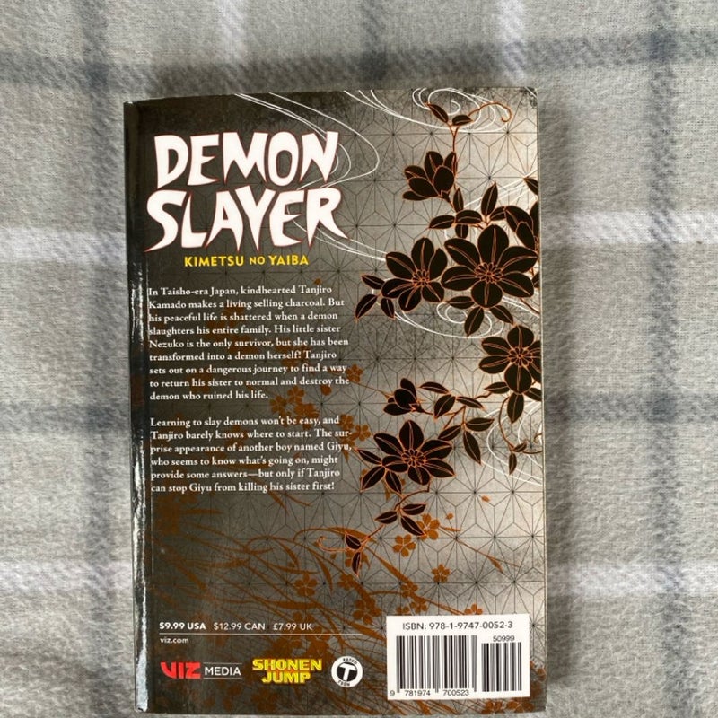 Demon slayer 