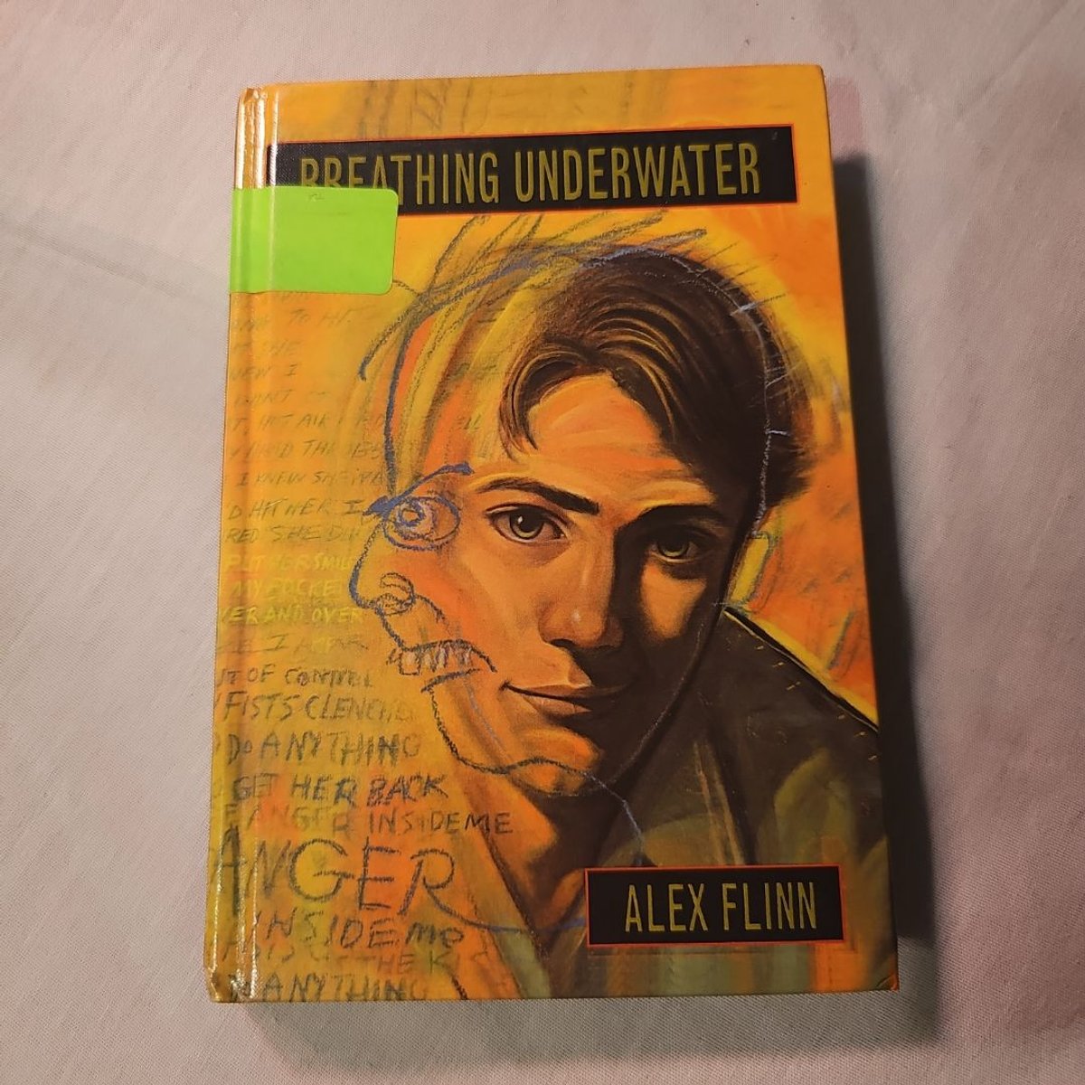 Breathing Underwater by Alex Flinn