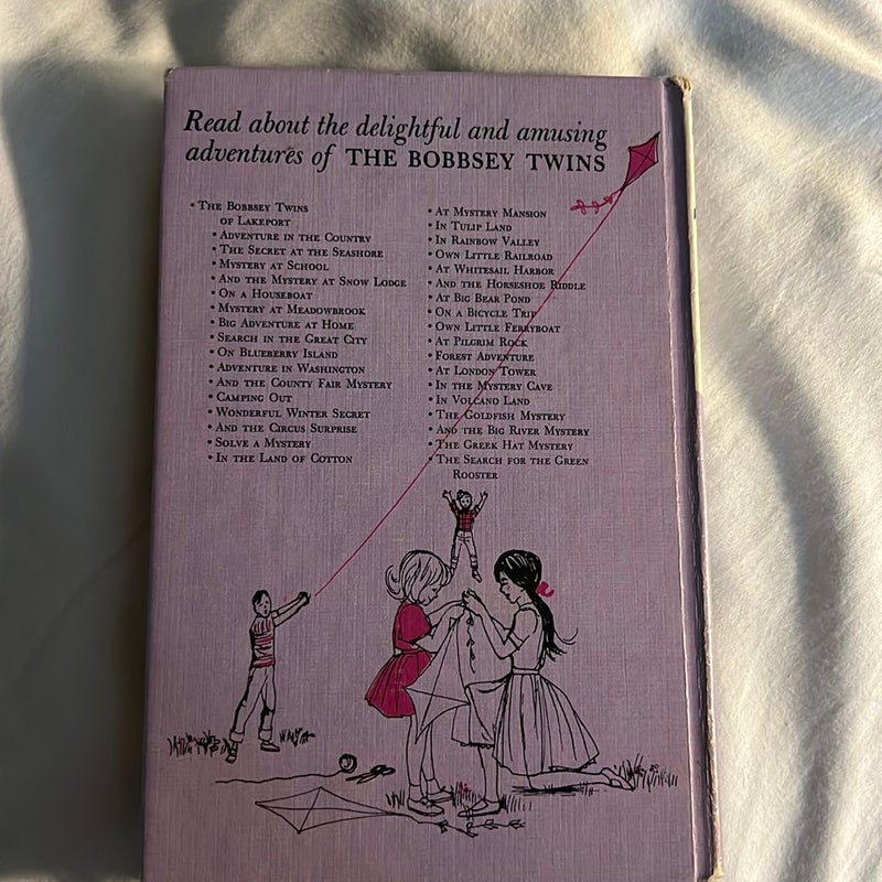 The Bobbsey Twins Own Little Railroad 