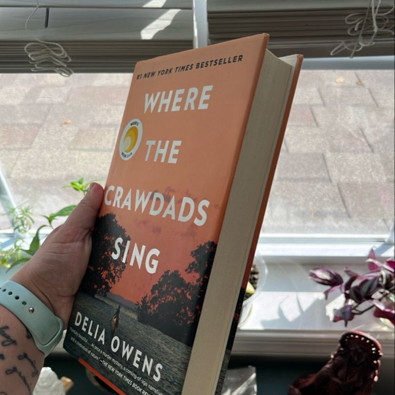 Where the Crawdads Sing