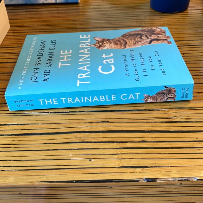 The Trainable Cat