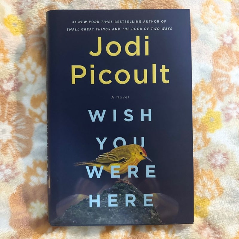 Wish You Were Here
