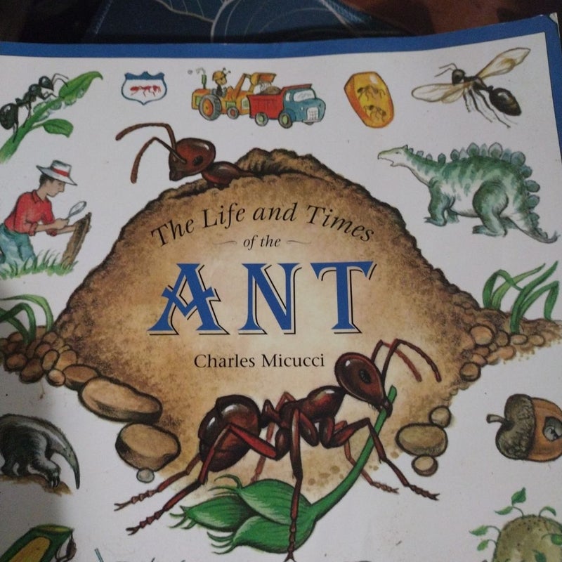 The Life and Times of the Ant