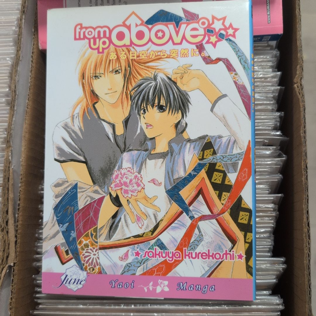 From up Above (Yaoi)