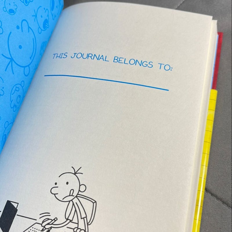 Diary Wimpy Kid Blank Journal