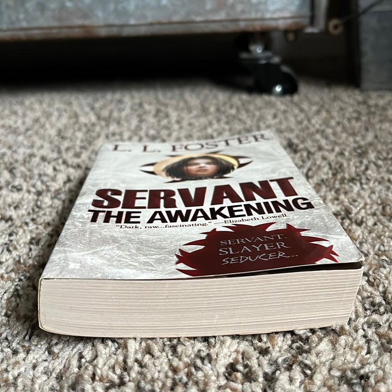 Servant: the Awakening