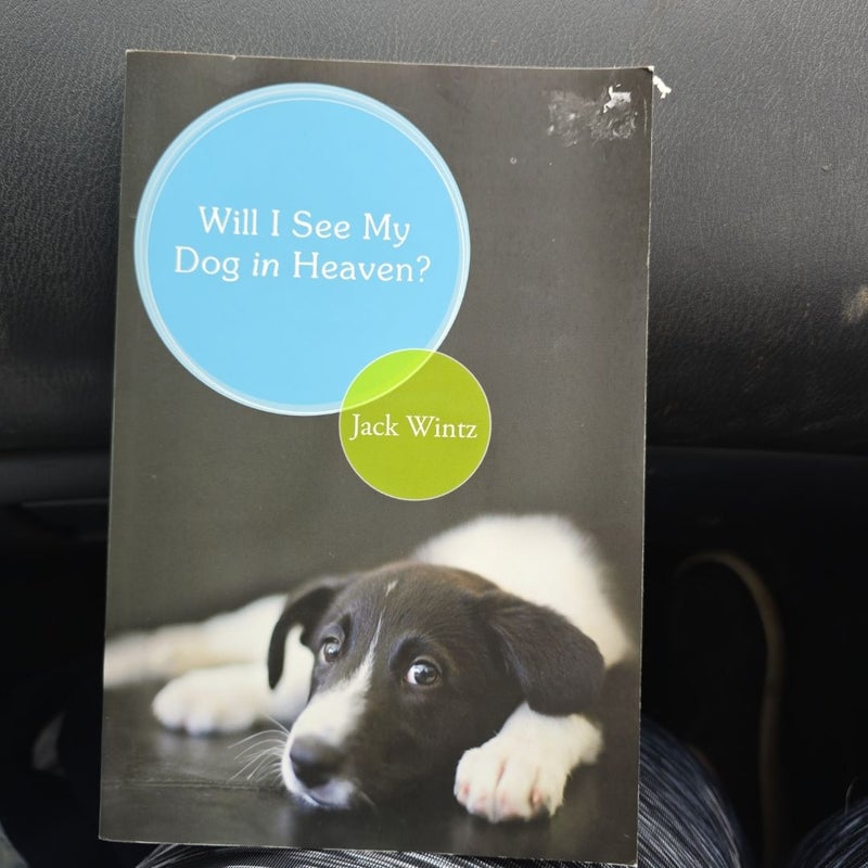 Will I See My Dog in Heaven?