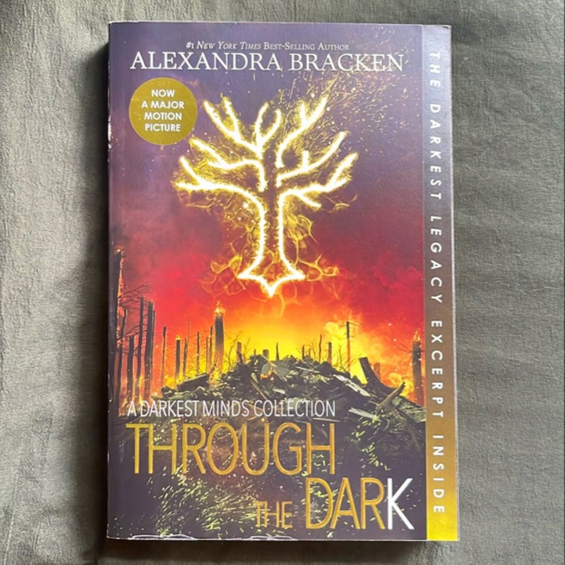 Through the Dark (Bonus Content) (a Darkest Minds Collection)