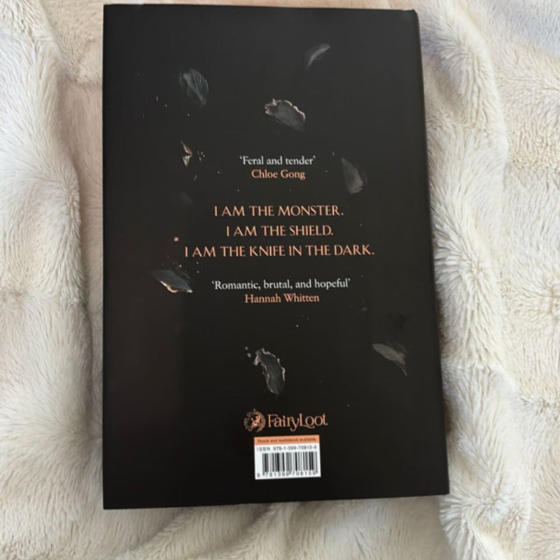 The Ones We Burn Fairyloot 
