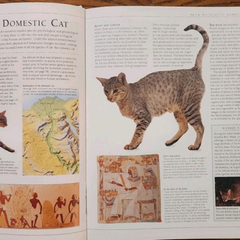 The Encyclopedia of the Cat