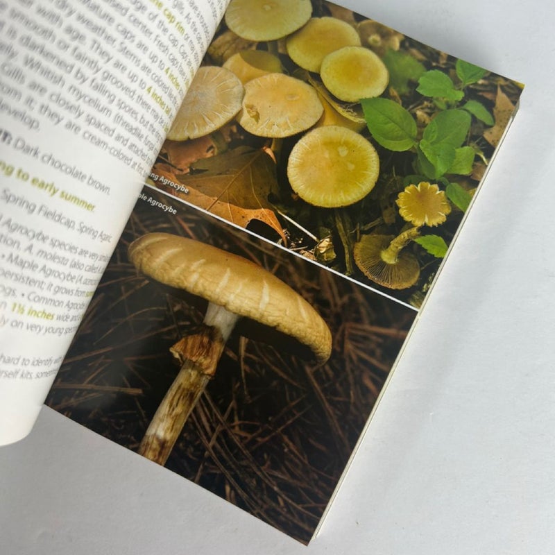 Mushrooms of the Upper Midwest