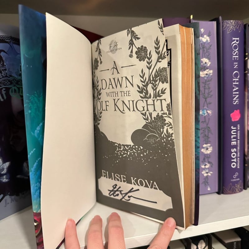 A Dawn with the Wolf Knight