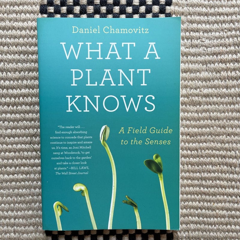 What a Plant Knows