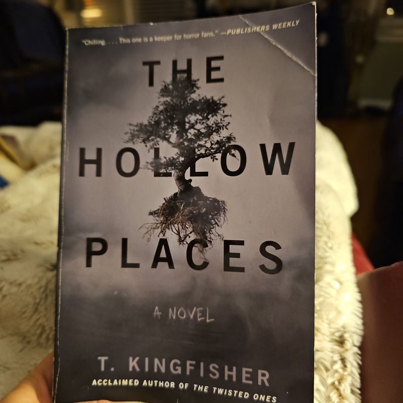 The Hollow Places