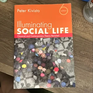 Illuminating Social Life