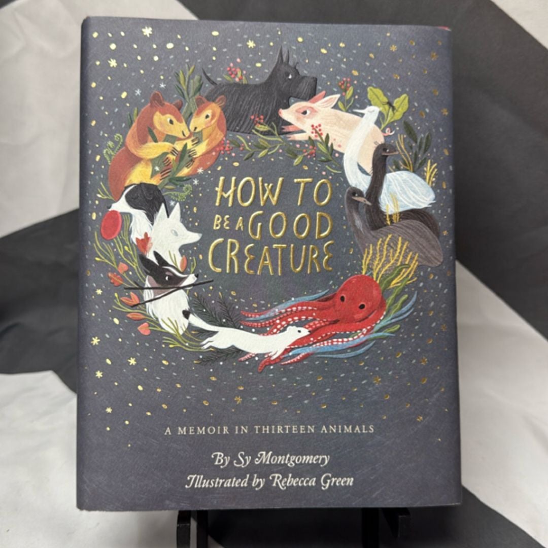 Sale image for fb42e094-6291-484b-a82a-51d4edee550e-YGnW37NA63R5crJUjqL0RrCa9K63