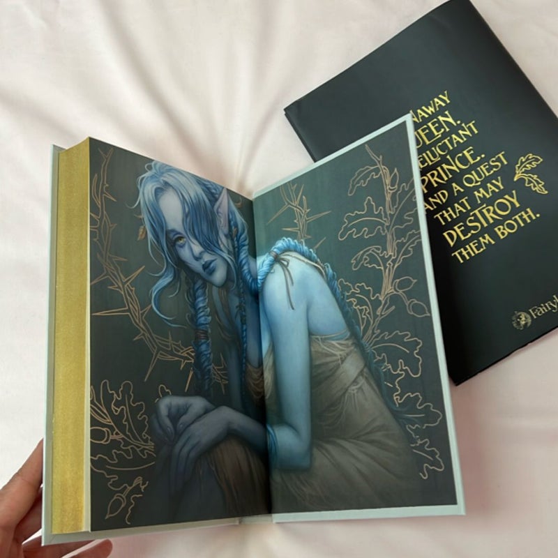 The Stolen Heir — Fairyloot Edition 