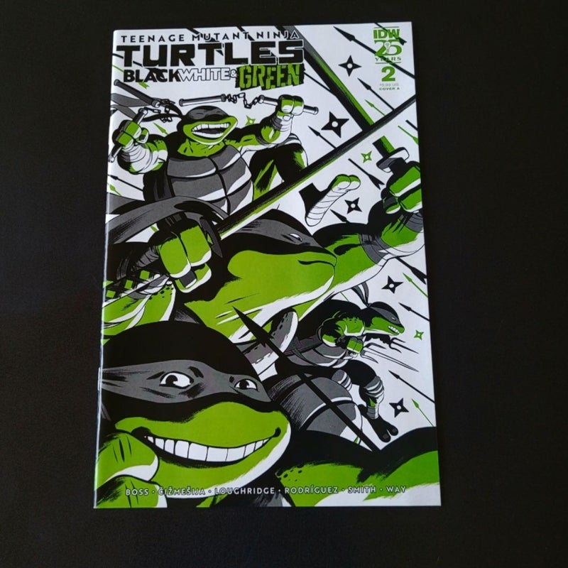 Teenage Mutant Ninja Turtles: Black, White & Green #2