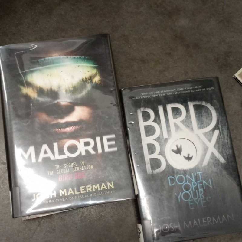Malorie & Bird Box