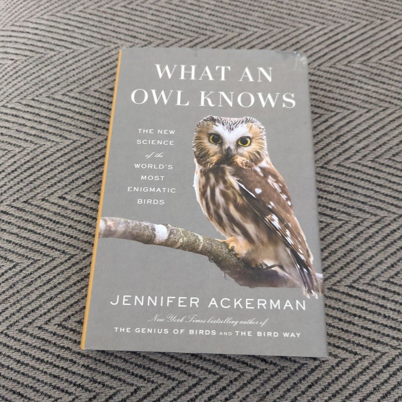 What an Owl Knows