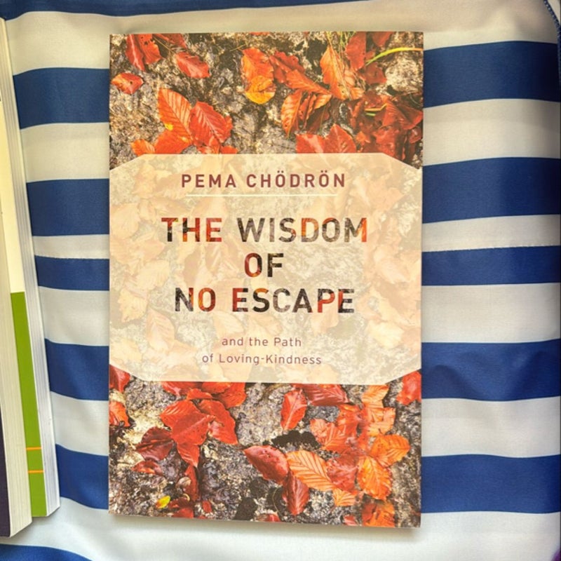 The Wisdom of No Escape