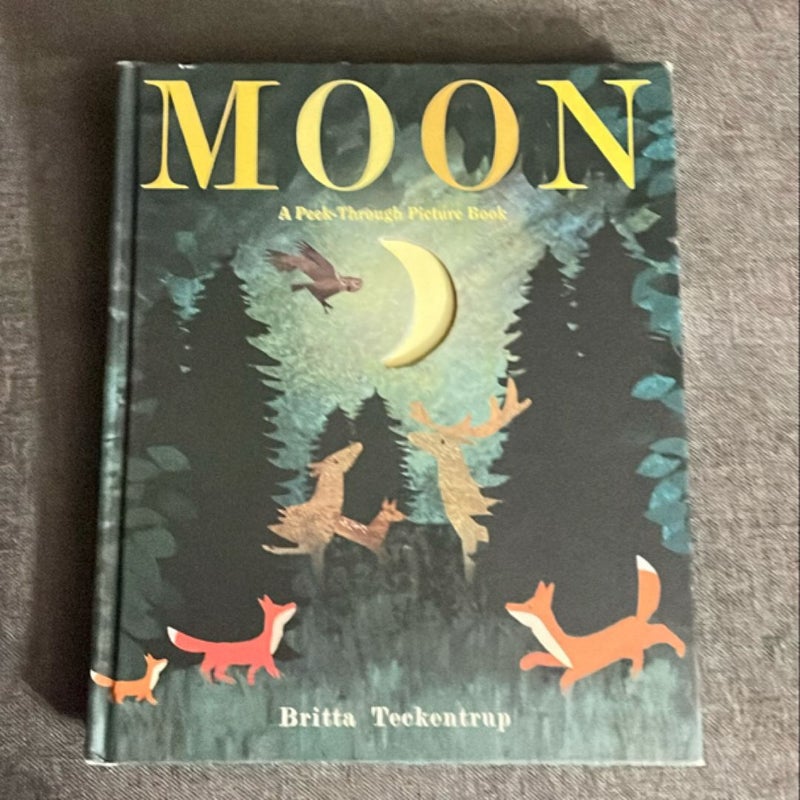 Moon: a Peek-Through Picture Book