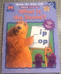 Write-on Wipe-off Stencil Activity Book What Is the Sound? 