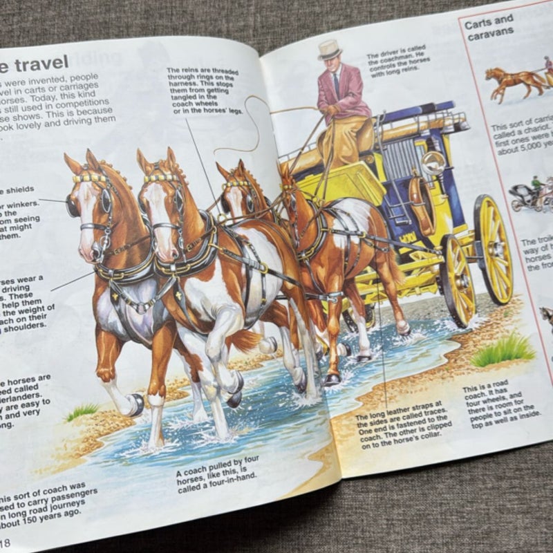 The Usborne Book of Horses & Ponies
